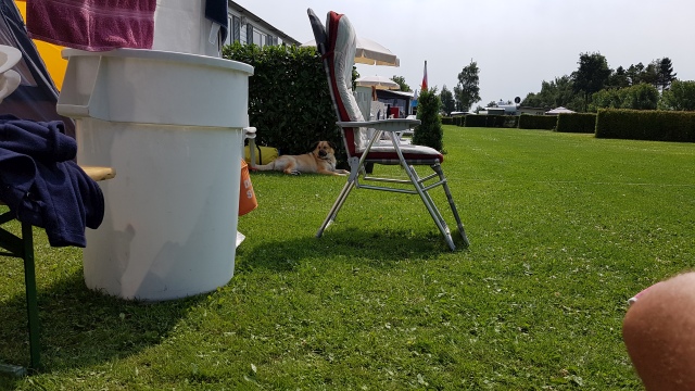 ../fotos/het_verlaat_2017/2017-07-10 12.26.30.jpg